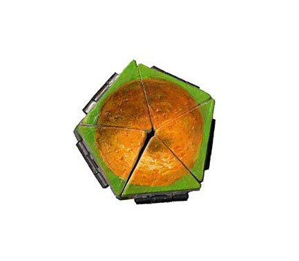 Satsuma
