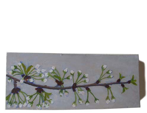 Cherry Blossoms 11