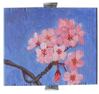 Cherry Blossoms 7