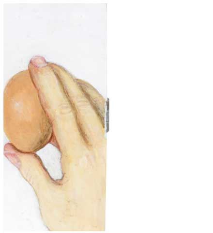 Egg