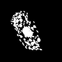 galaxy