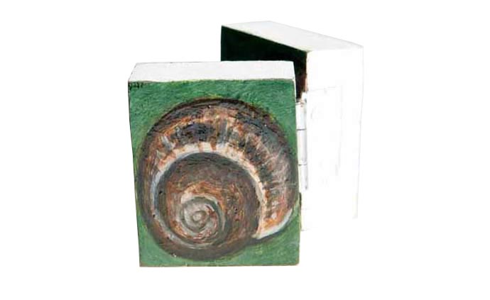 Snail