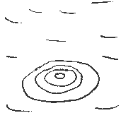 A fish jumps out of the water