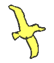 Seagull
