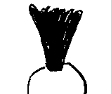 mohican